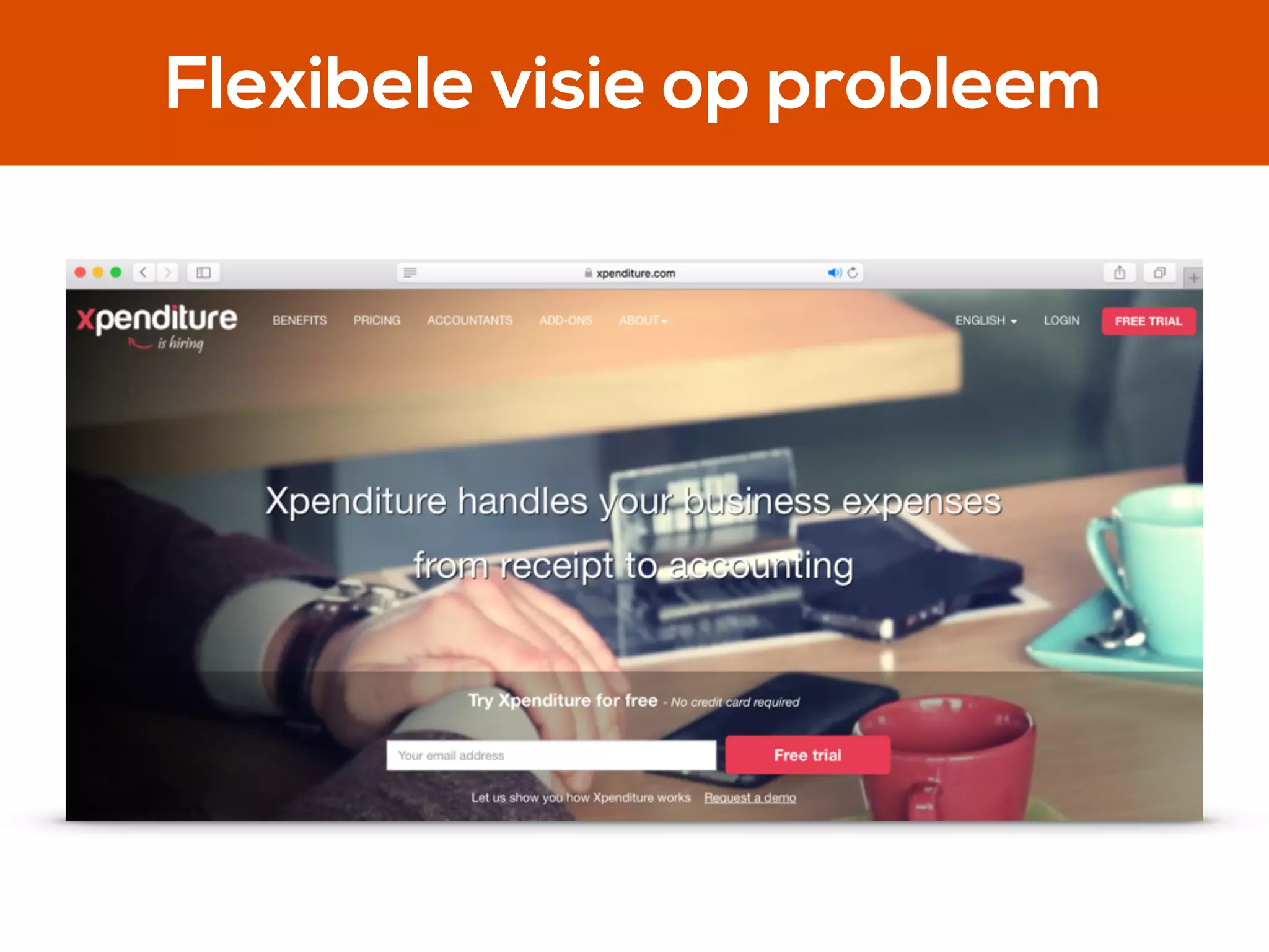 Flexibele visie op probleem
 