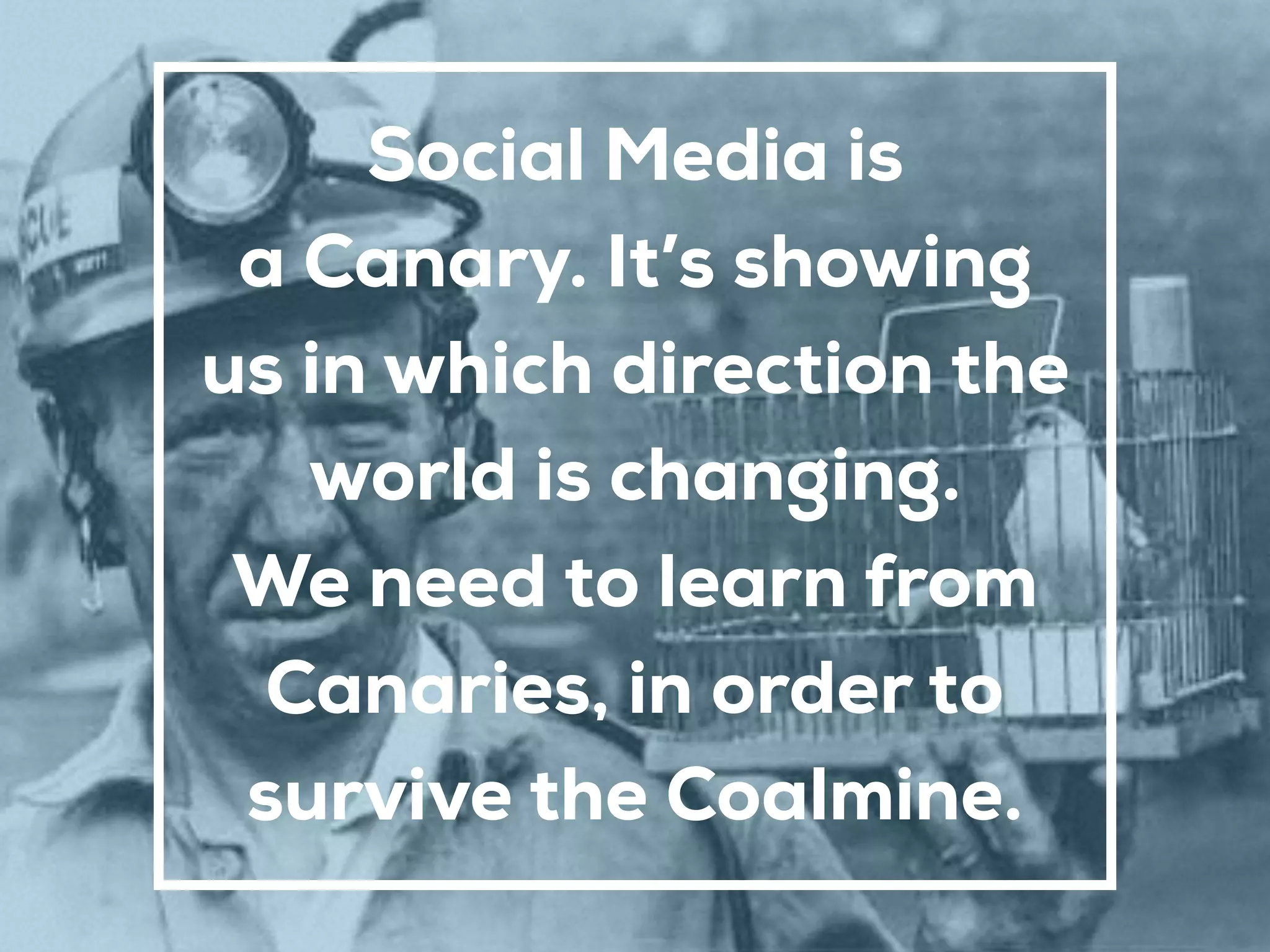 Social Media is  
a Canary. It’s showing
us in which direction the
world is changing.
We need to learn from
Canaries, in order to
survive the Coalmine.
 