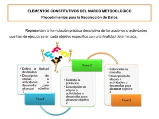 Representan la formulación práctica-descriptiva de las acciones o actividades
que han de ejecutarse en cada objetivo específico con una finalidad determinada.
ELEMENTOS CONSTITUTIVOS DEL MARCO METODOLOGICO
Procedimientos para la Recolección de Datos
 