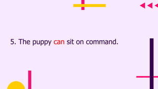 5. The puppy can sit on command.
 