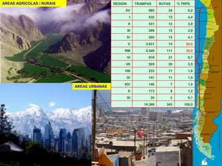 AREAS AGRICOLAS / RURAiS
AREAS URBANAS
REGION TRAMPAS RUTAS % TRPS.
XV 885 24 6,2
I 632 15 4,4
II 431 12 3,0
III 289 12 2,0
IV 585 15 4,1
V 3.831 74 26,6
RM 5.548 111 38,6
VI 970 21 6,7
VII 505 20 3,5
VIII 233 11 1,6
IX 141 11 1,0
XIV 146 7 1,0
X 173 8 1,2
XI 20 2 0,1
14.389 343 100,0
 