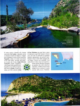 Il  nome esotico rimand& alla lontana di san Montano non poté fare a meno
isola dello Sri Lanka, a quando ancora di ripensare a quel lido lontano e decise
si chiamava Ceylon ed attirava i viaggia-     cosi, non solo d realizzare un giardino
tori occidentali in cerca di foni emozioni.   botanico spettacolare, ma anche di attri-
Negombo, infatti, ě il nome di un'incan-      buirgli lo stesso nome della spiaggia che,
tevole baia della "lacrima dell'lndia". un tempo, I'aveva cosi incaniato. Con
un ricordo che il duca Luigi Silvestro molta fatica il duca riusci ad acquisire i
Camerini, grande viaggiatore,          GI AR DINI      teneni intomo alla baia e progettč
volle fissare nella memoria attri-                 -l un giardino che, nelle intenzioni
buendolo al suo bellissimo parco    z             -   originarie, avrebbe dovuto essere
nell'isola ď Ischia. Giunto qui,                      inigato da un sistema di vasche
                                    o             z   scavate nella roccia. Parallela-
infani. nel 1946 vedendo Ia baia
 