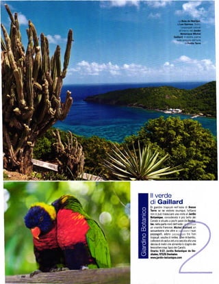 ll   verde
di Gaillard
Di giardini tropicali nell isola di B.sso
TCÍra se ne vedono ovunque, tuttavia
non si puÓ tralasciare una Visita al   Jatdln
Bolinlquc. considerato il piů bello dei
Caraibi e situato a pochi pasi da
l.s, nella paÍte nord de|l'isola.
un vivaista francese.                         un
sessántenne che oltre a                 r   suot
pappagalli, adora                    tÍa fiori
tíopicali' vasche dininÍee'   llve  dl bambŮ'
collezioni di cactus ed una cascata alta una
decina dimetriche alimenta lo stagno dei
Íenicotteri rosa, tipici dei caraibi'
onrlo: 9-lz JaÍdln Bot'nhE dé l}e-
$!ics.9n26 Desh.les
rw.|aldln-botanhu€.Coo
 