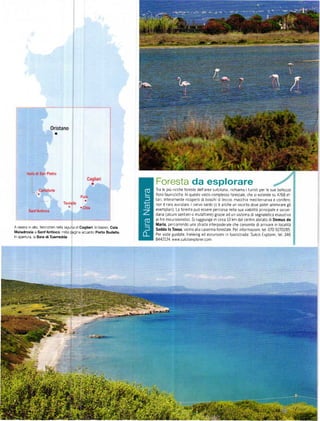 Foresta da esplorare
                                                                      Tra le piŮ rlcche foíeste dellarea sulcitana richlama i tUrlstl per le sue bellezze
                                                                      íloro íaunrstlche ln qL]esto Vasto complesso ÍoÍestale'che sl estende s! 4768 et_
                                                                      tar]' interamente ricopertl dl boschl d leccio macchia med terÍanea e conlfere.
                                                                      non ě raro aVV stare cervo sardo (c'ě anche un Íeclnto dove poter ammirare gli
                                                                      esemplari) La íoresta pud essere percorsa neila sua Viabilltá pnnclpale e secon
                                                                      dana (alcunr sent en o mulattiere) grazie ad un ststema dt segnaletica esausttva
                                                                      aifiniescursionistici Srraggiunge rn circa 13 km dalcentro abrtato diDomus de
                                                                      llaria' percorrendo !na strada inteípodera|e che consente dlarrivare in localitŽ
A deslía n alto' Íencol1erinela   agunadicagliaň   ln basso'   c6lo   sedda ls Tovus ' Vlcln o a l]a caserma íoresta |e Pe í infoímazlonl tel 070 92 70285
Maladroxia a S6nl'Antioco; nela pagina accanlo Porto Budello
                                                                      Per vrste gurdate. trekking ed escursronr n fuoískada: Sulcts Explorer, tel 346
ln apertura, a Baia di Tu€íredde
                                                                      8442134 w!,/w sulcrsexplorercom


                                                                                   :   t',:'.,..,
 