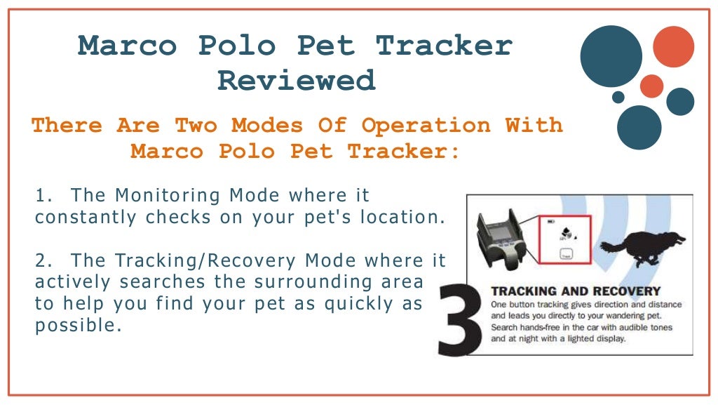 Marco Polo Pet Tracker Everything You Need To Know
