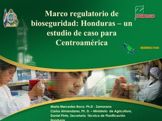 Marco regulatorio de
bioseguridad: Honduras – un
     estudio de caso para
        Centroamérica                                         REDBIO/FAO




     Maria Mercedes Roca, Ph.D - Zamorano
     Carlos Almendares, Ph. D. – Ministerio de Agricultura,
     Daniel Pinto, Secretaría Técnica de Planificación
 