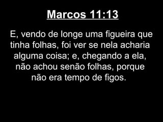 Marcos 11:13
E, vendo de longe uma figueira que
tinha folhas, foi ver se nela acharia
  alguma coisa; e, chegando a ela,
  não achou senão folhas, porque
      não era tempo de figos.
 