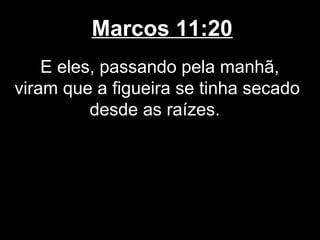 Marcos 11:20
    E eles, passando pela manhã,
viram que a figueira se tinha secado
          desde as raízes.
 