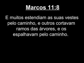 Marcos 11:8
E muitos estendiam as suas vestes
 pelo caminho, e outros cortavam
     ramos das árvores, e os
   espalhavam pelo caminho.
 