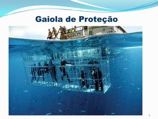 7
Gaiola de Proteção
 