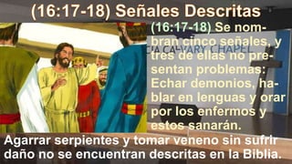 Agarrar serpientes y tomar veneno sin sufrir
daño no se encuentran descritas en la Biblia.
(16:17-18) Se nom-
bran cinco señales, y
tres de ellas no pre-
sentan problemas:
Echar demonios, ha-
blar en lenguas y orar
por los enfermos y
estos sanarán.
 