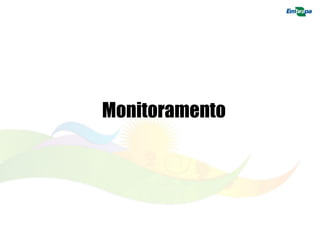 Monitoramento  