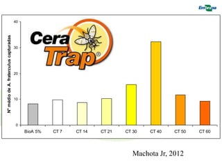 0 
10 
20 
30 
40 
BioA 5% CT 7 CT 14 CT 21 CT 30 CT 40 CT 50 CT 60 
N° médio de A. fraterculus capturadas 
Machota Jr, 2012 
 