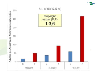Proporção sexual (M:F) 
1:3,6  