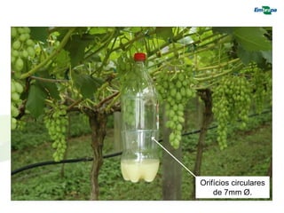 Orifícios circulares de 7mm Ø.  