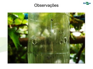 Observações  