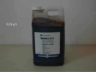 0,24 g/L  