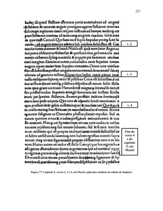 227
Figura 77. Capítulo 5, versos 2, 3 e 4, em Maciel, aplicados também na edição de Sulpicio.
v. 2
v. 3
v. 4
Fim do
verso 4
e do
capítulo
5, em
Maciel
 