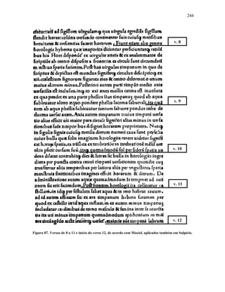 244
Figura 87. Versos de 8 a 11 e início do verso 12, de acordo com Maciel, aplicados também em Sulpicio.
v. 8
v. 9
v. 10
v. 11
v. 12
 