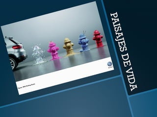 PAISAJES DE VIDA 
 