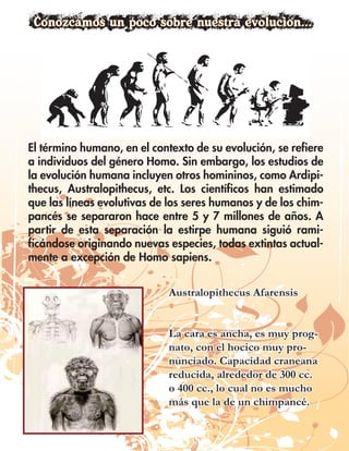 El término humano, en el contexto de su evolución, se refiere
a individuos del género Homo. Sin embargo, los estudios de
la evolución humana incluyen otros homininos, como Ardipi-
thecus, Australopithecus, etc. Los científicos han estimado
que las líneas evolutivas de los seres humanos y de los chim-
pancés se separaron hace entre 5 y 7 millones de años. A
partir de esta separación la estirpe humana siguió rami-
ficándose originando nuevas especies, todas extintas actual-
mente a excepción de Homo sapiens.


                             Australopithecus Afarensis


                             La cara es ancha, es muy prog-
                             nato, con el hocico muy pro-
                             nunciado. Capacidad craneana
                             reducida, alrededor de 300 cc.
                             o 400 cc., lo cual no es mucho
                             más que la de un chimpancé.
 