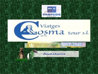 Marcos Group  Cosma Tour