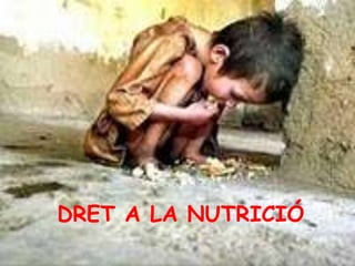 DRET A LA NUTRICIÓ