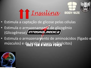 Insulina
• Estimula a captação de glicose pelas células
• Estimula o armazenamento de glicogênio
  (Glicogênese)
• Estimula o armazenamento de aminoácidos (fígado e
  músculos) e de ácidos graxos (adipócitos)
 