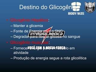 Destino do Glicogênio

• Glicogênio Hepático:
  – Manter a glicemia
  – Fonte de Energia para o SNC
  – Degradar para liberar glicose no sangue
• Glicogênio muscular:
  – Fornecer energia para o músculo em
    atividade
  – Produção de energia segue a rota glicolítica
 