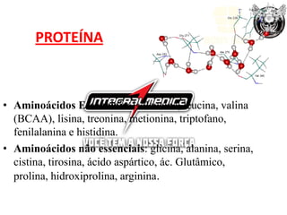 PROTEÍNA



• Aminoácidos Essenciais: isoleucina, leucina, valina
  (BCAA), lisina, treonina, metionina, triptofano,
  fenilalanina e histidina.
• Aminoácidos não essenciais: glicina, alanina, serina,
  cistina, tirosina, ácido aspártico, ác. Glutâmico,
  prolina, hidroxiprolina, arginina.
 