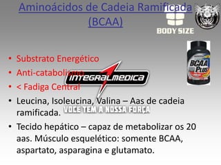 Aminoácidos de Cadeia Ramificada
                (BCAA)

• Substrato Energético
• Anti-catabolismo
• < Fadiga Central
• Leucina, Isoleucina, Valina – Aas de cadeia
  ramificada.
• Tecido hepático – capaz de metabolizar os 20
  aas. Músculo esquelético: somente BCAA,
  aspartato, asparagina e glutamato.
 