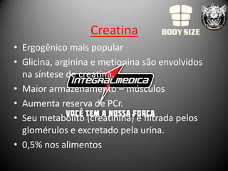 Creatina
• Ergogênico mais popular
• Glicina, arginina e metionina são envolvidos
  na síntese de creatina.
• Maior armazenamento – músculos
• Aumenta reserva de PCr.
• Seu metabólito (creatinina) é filtrada pelos
  glomérulos e excretado pela urina.
• 0,5% nos alimentos
 