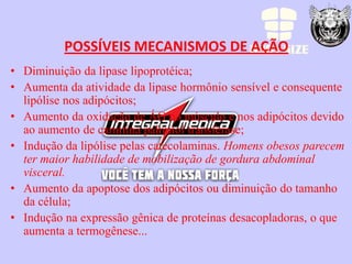 POSSÍVEIS MECANISMOS DE AÇÃO
• Diminuição da lipase lipoprotéica;
• Aumenta da atividade da lipase hormônio sensível e consequente
  lipólise nos adipócitos;
• Aumento da oxidação de ÁG no músculo e nos adipócitos devido
  ao aumento de carnitina palmitol transferase;
• Indução da lipólise pelas catecolaminas. Homens obesos parecem
  ter maior habilidade de mobilização de gordura abdominal
  visceral.
• Aumento da apoptose dos adipócitos ou diminuição do tamanho
  da célula;
• Indução na expressão gênica de proteínas desacopladoras, o que
  aumenta a termogênese...
 