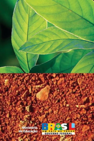 Marcos normativos ea[1]