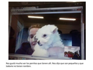 Nos gustó mucho ver los perritos que tienen allí. Nos dijo que son pequeños y que
todavía no tienen nombre.