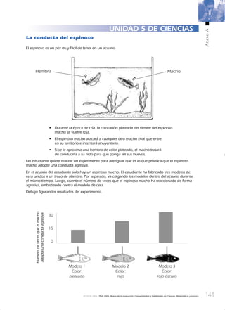 141
AnexoA
© OCDE 2006 PISA 2006. Marco de la evaluación. Conocimientos y habilidades en Ciencias, Matemáticas y Lectura
UNIDAD 5 DE CIENCIAS
La conducta del espinoso
El espinoso es un pez muy fácil de tener en un acuario.
MachoHembra
• Durante la época de cría, la coloración plateada del vientre del espinoso
macho se vuelve roja.
• El espinoso macho atacará a cualquier otro macho rival que entre
en su territorio e intentará ahuyentarlo.
• Si se le aproxima una hembra de color plateado, el macho tratará
de conducirla a su nido para que ponga allí sus huevos.
Un estudiante quiere realizar un experimento para averiguar qué es lo que provoca que el espinoso
macho adopte una conducta agresiva.
En el acuario del estudiante solo hay un espinoso macho. El estudiante ha fabricado tres modelos de
cera unidos a un trozo de alambre. Por separado, va colgando los modelos dentro del acuario durante
el mismo tiempo. Luego, cuenta el número de veces que el espinoso macho ha reaccionado de forma
agresiva, embistiendo contra el modelo de cera.
Debajo ﬁguran los resultados del experimento.
Númerodevecesqueelmacho
adoptaunaconductaagresiva
Modelo 1
Color:
plateado
Modelo 2
Color:
rojo
Modelo 3
Color:
rojo oscuro
888624AnnexA.indd 141888624AnnexA.indd 141 3/10/06 22:15:093/10/06 22:15:09
 