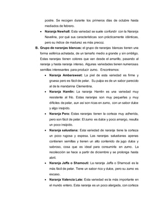 postre. Se recogen durante los primeros días de octubre hasta
mediados de febrero.
 Naranja Newhall: Esta variedad se suele confundir con la Naranja
Navelina, por qué sus características son prácticamente idénticas,
pero su índice de madurez es más precoz.
B. Grupo de naranjas blancas: el grupo de naranjas blancas tienen una
forma esférica achatada, de un tamaño medio a grande y sin ombligo.
Estas naranjas tienen colores que van desde el amarillo, pasando al
naranja y hasta naranja intenso. Algunas variedades tienen numerosas
semillas interesantes para producir zumo. Encontramos:
 Naranja Ambersweet: La piel de esta variedad es firme y
gruesa pero es fácil de pelar. Su pulpa es de un sabor parecido
al de la mandarina Clementina.
 Naranja Hamlin: La naranja Hamlin es una variedad muy
resistente al frío. Estas naranjas son muy pequeñas y muy
difíciles de pelar, aun así son ricas en zumo, con un sabor dulce
y algo insípido.
 Naranja Pera: Estas naranjas tienen la corteza muy adherida,
pero son fácil de pelar. El zumo es dulce y poco amargo, resulta
un poco insípido.
 Naranja salustiana: Esta variedad de naranja tiene la corteza
un poco rugosa y espesa. Las naranjas salustianas apenas
contienen semillas y tienen un alto contenido de jugo dulce y
sabroso, cosa que es ideal para consumirla en zumo. La
recolección se hace a partir de diciembre y se prolonga hasta
abril.
 Naranja Jaffa o Shamouti: La naranja Jaffa o Shamouti es la
más fácil de pelar. Tiene un sabor rico y dulce, pero su zumo es
escaso.
 Naranja Valencia Late: Esta variedad es la más importante en
el mundo entero. Esta naranja es un poco alargada, con corteza
 