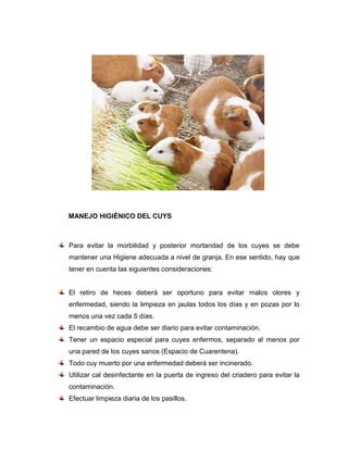 MANEJO HIGIÉNICO DEL CUYS
Para evitar la morbilidad y posterior mortandad de los cuyes se debe
mantener una Higiene adecuada a nivel de granja. En ese sentido, hay que
tener en cuenta las siguientes consideraciones:
El retiro de heces deberá ser oportuno para evitar malos olores y
enfermedad, siendo la limpieza en jaulas todos los días y en pozas por lo
menos una vez cada 5 días.
El recambio de agua debe ser diario para evitar contaminación.
Tener un espacio especial para cuyes enfermos, separado al menos por
una pared de los cuyes sanos (Espacio de Cuarentena).
Todo cuy muerto por una enfermedad deberá ser incinerado.
Utilizar cal desinfectante en la puerta de ingreso del criadero para evitar la
contaminación.
Efectuar limpieza diaria de los pasillos.
 
