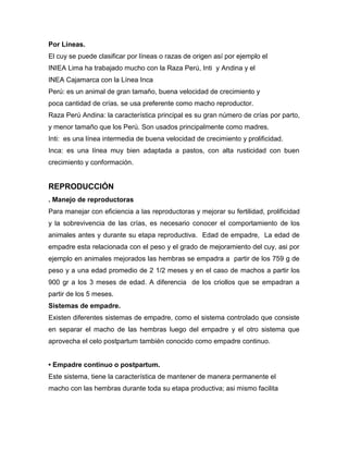 Por Líneas.
El cuy se puede clasificar por líneas o razas de origen así por ejemplo el
INIEA Lima ha trabajado mucho con la Raza Perú, Inti y Andina y el
INEA Cajamarca con la Línea Inca
Perú: es un animal de gran tamaño, buena velocidad de crecimiento y
poca cantidad de crías. se usa preferente como macho reproductor.
Raza Perú Andina: la característica principal es su gran número de crías por parto,
y menor tamaño que los Perú. Son usados principalmente como madres.
Inti: es una línea intermedia de buena velocidad de crecimiento y prolificidad.
Inca: es una línea muy bien adaptada a pastos, con alta rusticidad con buen
crecimiento y conformación.
REPRODUCCIÓN
. Manejo de reproductoras
Para manejar con eficiencia a las reproductoras y mejorar su fertilidad, prolificidad
y la sobrevivencia de las crías, es necesario conocer el comportamiento de los
animales antes y durante su etapa reproductiva. Edad de empadre, La edad de
empadre esta relacionada con el peso y el grado de mejoramiento del cuy, asi por
ejemplo en animales mejorados las hembras se empadra a partir de los 759 g de
peso y a una edad promedio de 2 1/2 meses y en el caso de machos a partir los
900 gr a los 3 meses de edad. A diferencia de los criollos que se empadran a
partir de los 5 meses.
Sistemas de empadre.
Existen diferentes sistemas de empadre, como el sistema controlado que consiste
en separar el macho de las hembras luego del empadre y el otro sistema que
aprovecha el celo postpartum también conocido como empadre continuo.
• Empadre continuo o postpartum.
Este sistema, tiene la característica de mantener de manera permanente el
macho con las hembras durante toda su etapa productiva; asi mismo facilita
 