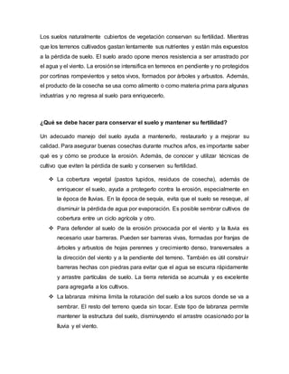 Los suelos naturalmente cubiertos de vegetación conservan su fertilidad. Mientras
que los terrenos cultivados gastan lentamente sus nutrientes y están más expuestos
a la pérdida de suelo. El suelo arado opone menos resistencia a ser arrastrado por
el agua y el viento. La erosiónse intensifica en terrenos en pendiente y no protegidos
por cortinas rompevientos y setos vivos, formados por árboles y arbustos. Además,
el producto de la cosecha se usa como alimento o como materia prima para algunas
industrias y no regresa al suelo para enriquecerlo.
¿Qué se debe hacer para conservar el suelo y mantener su fertilidad?
Un adecuado manejo del suelo ayuda a mantenerlo, restaurarlo y a mejorar su
calidad. Para asegurar buenas cosechas durante muchos años, es importante saber
qué es y cómo se produce la erosión. Además, de conocer y utilizar técnicas de
cultivo que eviten la pérdida de suelo y conserven su fertilidad.
 La cobertura vegetal (pastos tupidos, residuos de cosecha), además de
enriquecer el suelo, ayuda a protegerlo contra la erosión, especialmente en
la época de lluvias. En la época de sequía, evita que el suelo se reseque, al
disminuir la pérdida de agua por evaporación. Es posible sembrar cultivos de
cobertura entre un ciclo agrícola y otro.
 Para defender al suelo de la erosión provocada por el viento y la lluvia es
necesario usar barreras. Pueden ser barreras vivas, formadas por franjas de
árboles y arbustos de hojas perennes y crecimiento denso, transversales a
la dirección del viento y a la pendiente del terreno. También es útil construir
barreras hechas con piedras para evitar que el agua se escurra rápidamente
y arrastre partículas de suelo. La tierra retenida se acumula y es excelente
para agregarla a los cultivos.
 La labranza mínima limita la roturación del suelo a los surcos donde se va a
sembrar. El resto del terreno queda sin tocar. Este tipo de labranza permite
mantener la estructura del suelo, disminuyendo el arrastre ocasionado por la
lluvia y el viento.
 