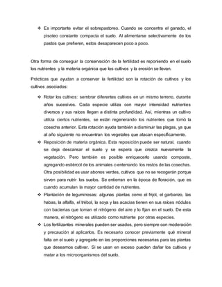  Es importante evitar el sobrepastoreo. Cuando se concentra el ganado, el
pisoteo constante compacta el suelo. Al alimentarse selectivamente de los
pastos que prefieren, estos desaparecen poco a poco.
Otra forma de conseguir la conservación de la fertilidad es reponiendo en el suelo
los nutrientes y la materia orgánica que los cultivos y la erosión se llevan.
Prácticas que ayudan a conservar la fertilidad son la rotación de cultivos y los
cultivos asociados:
 Rotar los cultivos: sembrar diferentes cultivos en un mismo terreno, durante
años sucesivos. Cada especie utiliza con mayor intensidad nutrientes
diversos y sus raíces llegan a distinta profundidad. Así, mientras un cultivo
utiliza ciertos nutrientes, se están regenerando los nutrientes que tomó la
cosecha anterior. Esta rotación ayuda también a disminuir las plagas, ya que
al año siguiente no encuentran los vegetales que atacan específicamente.
 Reposición de materia orgánica. Esta reposición puede ser natural, cuando
se deja descansar el suelo y se espera que crezca nuevamente la
vegetación. Pero también es posible enriquecerlo usando composte,
agregando estiércol de los animales o enterrando los restos de las cosechas.
Otra posibilidad es usar abonos verdes, cultivos que no se recogerán porque
sirven para nutrir los suelos. Se entierran en la época de floración, que es
cuando acumulan la mayor cantidad de nutrientes.
 Plantación de leguminosas: algunas plantas como el frijol, el garbanzo, las
habas, la alfalfa, el trébol, la soya y las acacias tienen en sus raíces nódulos
con bacterias que toman el nitrógeno del aire y lo fijan en el suelo. De esta
manera, el nitrógeno es utilizado como nutriente por otras especies.
 Los fertilizantes minerales pueden ser usados, pero siempre con moderación
y precaución al aplicarlos. Es necesario conocer previamente qué mineral
falta en el suelo y agregarlo en las proporciones necesarias para las plantas
que deseamos cultivar. Si se usan en exceso pueden dañar los cultivos y
matar a los microorganismos del suelo.
 