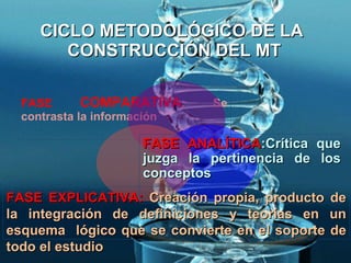 CICLO METODOLÓGICO DE LA  CONSTRUCCIÓN DEL MT <ul><li>FASE  COMPARATIVA : Se contrasta la información </li></ul>FASE ANALÍ...