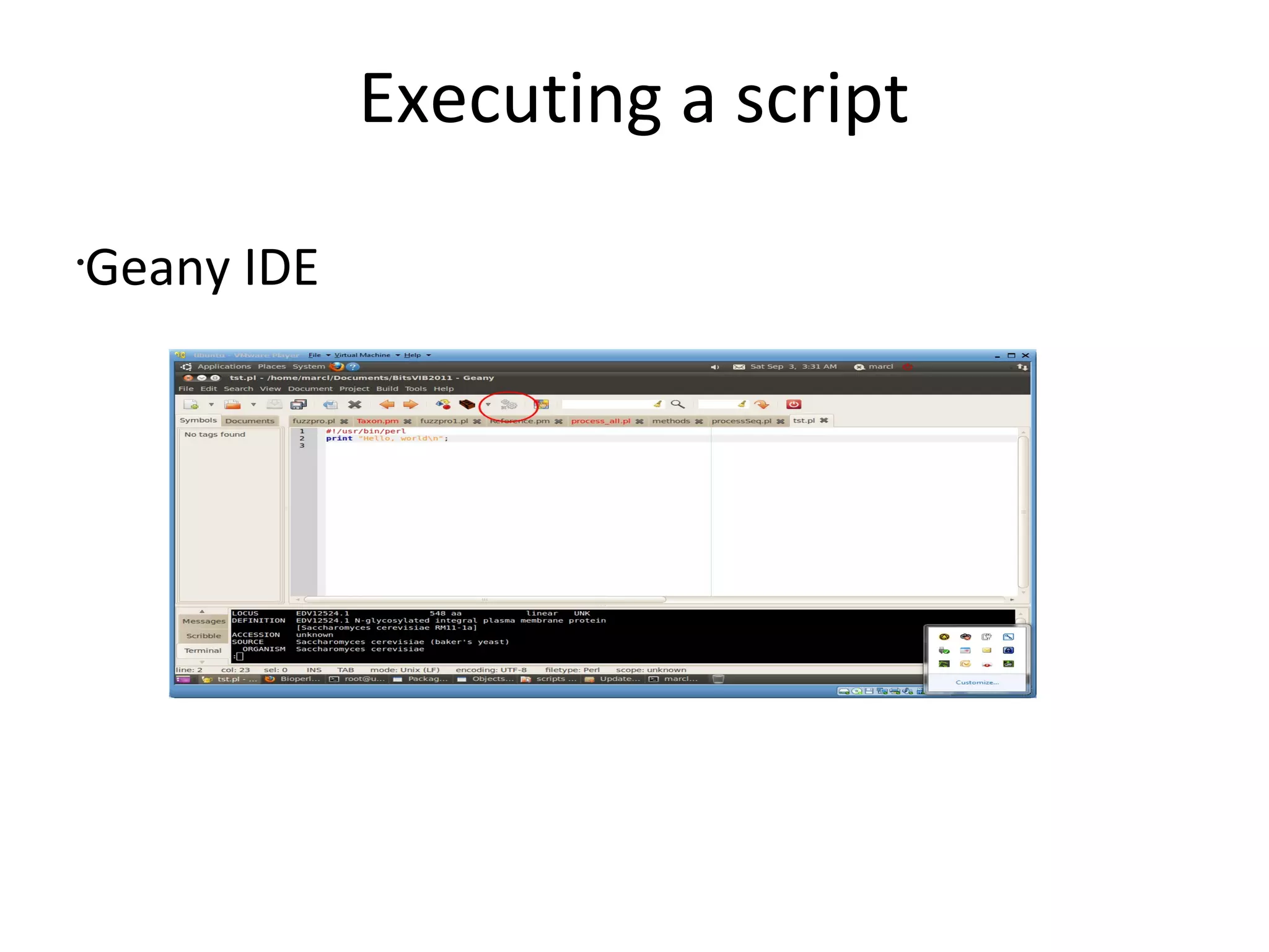 Executing a scriptGeany IDE