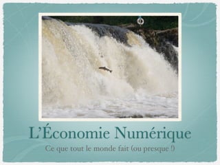 L’Économie Numérique
Ce que tout le monde fait (ou presque !)
 