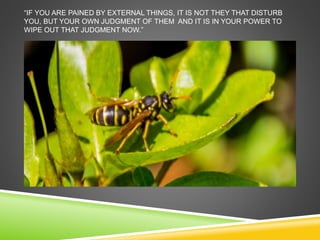 “IF YOU ARE PAINED BY EXTERNAL THINGS, IT IS NOT THEY THAT DISTURB 
YOU, BUT YOUR OWN JUDGMENT OF THEM AND IT IS IN YOUR POWER TO 
WIPE OUT THAT JUDGMENT NOW.” 
 