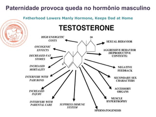 Paternidade provoca queda no hormônio masculino
A
Fatherhood Lowers Manly Hormone, Keeps Dad at Home
 