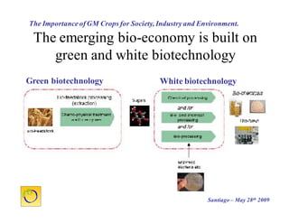 Cultivos Genéticamente Modificados