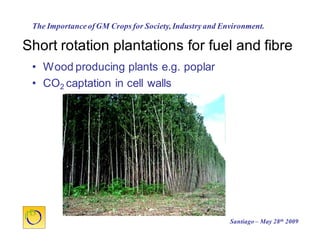 Cultivos Genéticamente Modificados