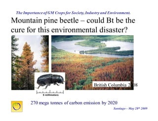 Cultivos Genéticamente Modificados