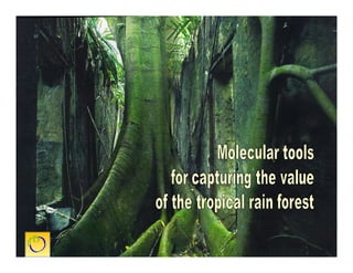 Cultivos Genéticamente Modificados